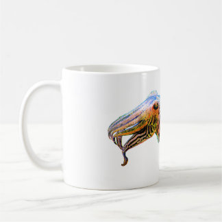 Sepia officinalis kaffeetasse
