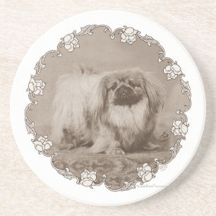 Sepia-Pekingese-Porträt Getränkeuntersetzer