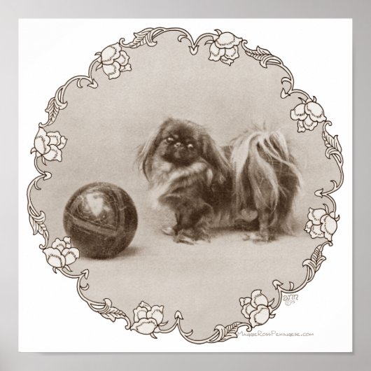 Sepia-Pekingese-Porträt Poster (Vorne)