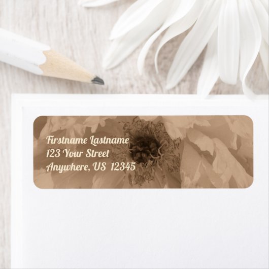 Sepia Peony Blume in Bloom Address (Insitu)