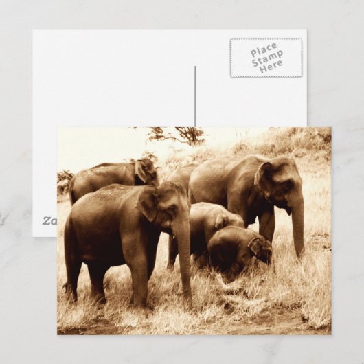 Sepia Postkarte (Vorne/Hinten)