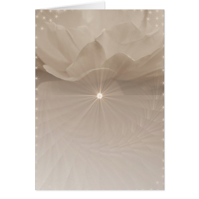 Sepia Rose Art (Vorne)