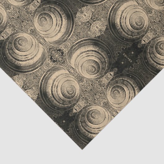 Sepia-Schnecke gemustert Seidenpapier (Ausschnitt)