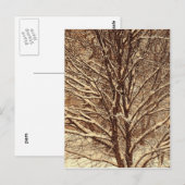 Sepia-Schnee Postkarte (Vorne/Hinten)
