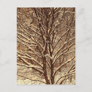 Sepia-Schnee Postkarte