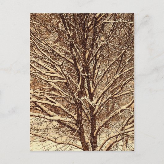 Sepia-Schnee Postkarte (Vorderseite)
