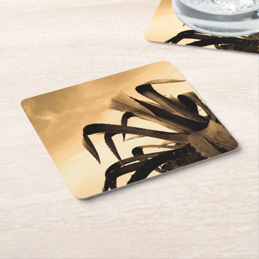 Sepia Spanish Aloe Pflanze Foto Rechteckiger Pappuntersetzer (angewinkelt)