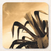 Sepia Spanish Aloe Pflanze Foto Rechteckiger Pappuntersetzer (Vorderseite)