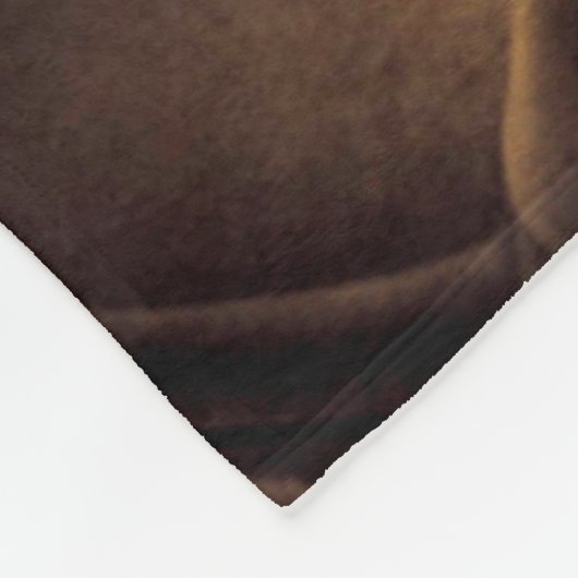 Sepia Steam Train Interior Fleecedecke (Ecke)