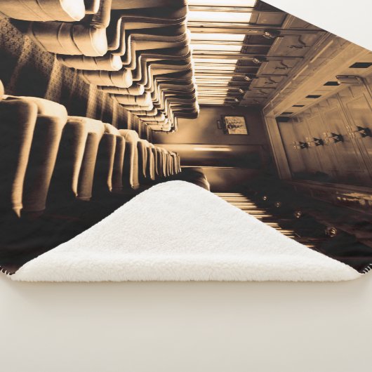 Sepia Steam Train Interior Sherpadecke (3/4)