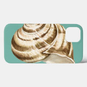 Sepia Stripte Muschel auf Aquamarin Case-Mate iPhone Hülle (Rückseite (Horizontal))