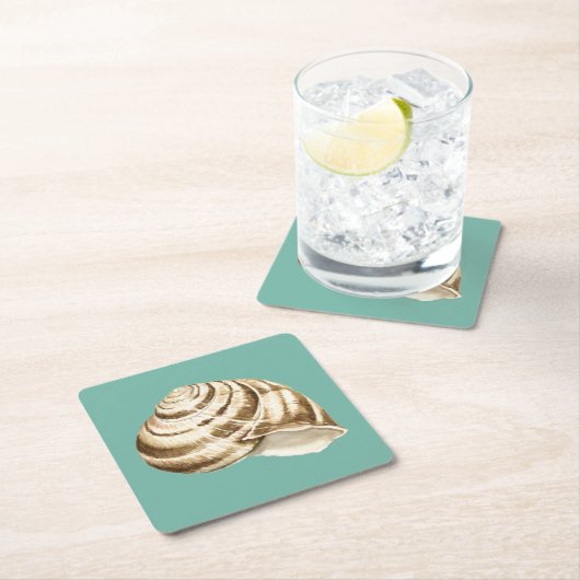 Sepia Stripte Muschel auf Aquamarin Rechteckiger Pappuntersetzer (Vor Ort)