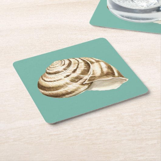 Sepia Stripte Muschel auf Aquamarin Rechteckiger Pappuntersetzer (angewinkelt)