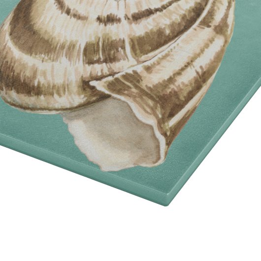 Sepia Stripte Muschel auf Aquamarin Schneidebrett (Ecke)