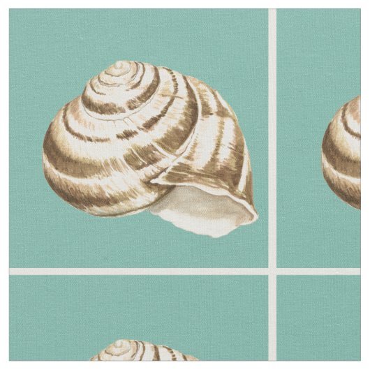 Sepia Stripte Muschel auf Aquamarin Stoff (Nahaufnahme)