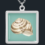Sepia Stripte Muschel auf Aquamarin Versilberte Kette<br><div class="desc">Megan Meagher ist bekannt für ihre einfachen Kunstwerke. Dies ist ein großartiges Bild von dekorativer Kunst,  die das Meeresleben mit einer gestreiften Muschel aus Koncha einfängt. Holen Sie sich diesen feinen Kunstdruck noch heute in aquamariner Farbe auf Ihrem Zazzle-Produkt.</div>