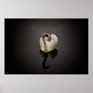 Sepia Swan Print Poster