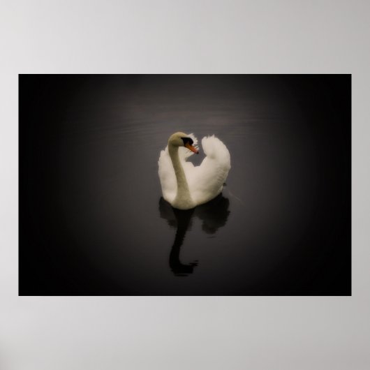 Sepia Swan Print Poster (Vorne)