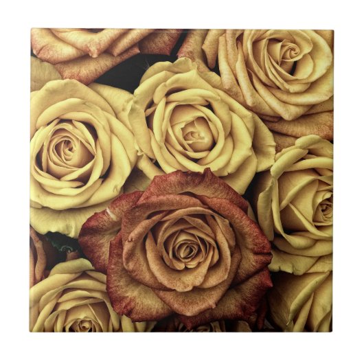 Sepia Tinted Rose Fliese (Vorderseite)