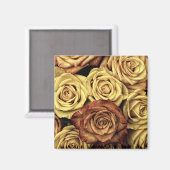 Sepia Tinted Rose Magnet (Vorderseite/Rückseite)