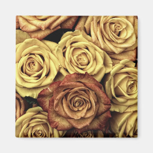 Sepia Tinted Rose Magnet