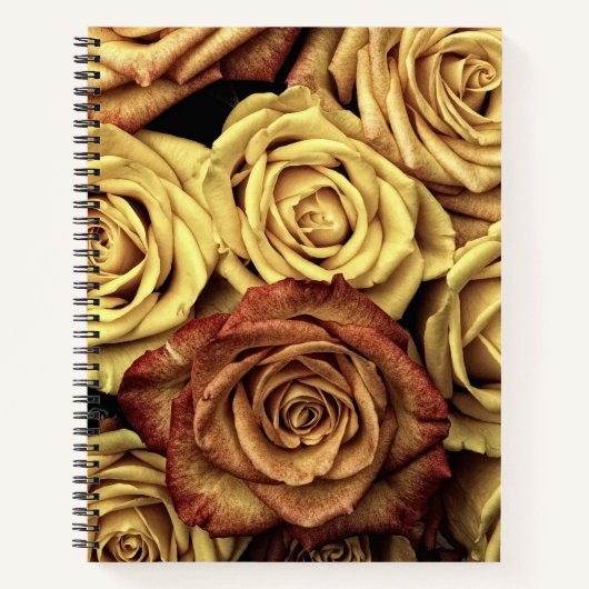 Sepia Tinted Rose Notizblock (Vorderseite)