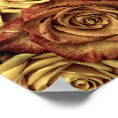 Sepia Tinted Rose Poster (Ecke)
