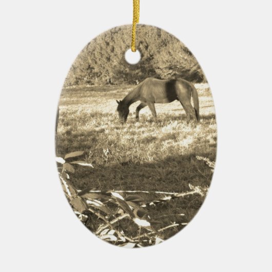 Sepia ton Brown Pferd und Zaun Keramik Ornament (Vorne)