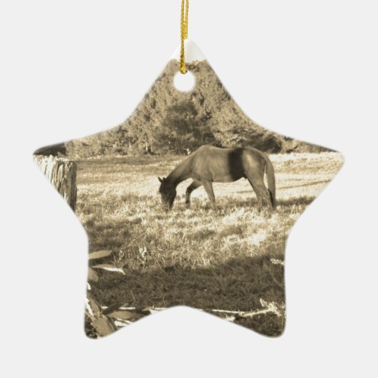 Sepia ton Brown Pferd und Zaun Keramik Ornament (Vorne)