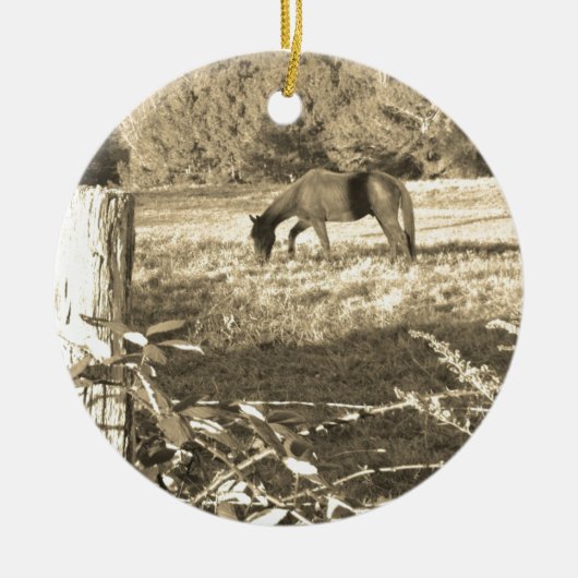 Sepia ton Brown Pferd und Zaun Keramikornament (Vorne)