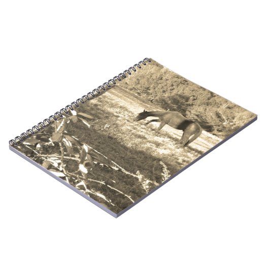 Sepia ton Brown Pferd und Zaun Notizblock (Linke Seite)