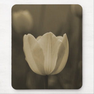 Sepia-Ton-Single-Tulpe-Blume mousepad Geschenk