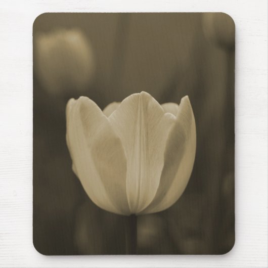 Sepia-Ton-Single-Tulpe-Blume mousepad Geschenk (Vorne)
