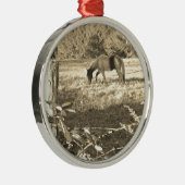 Sepia tone Brown horse and fence Ornament Aus Metall (Rechts)