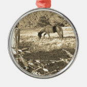 Sepia tone Brown horse and fence Ornament Aus Metall (Vorne)