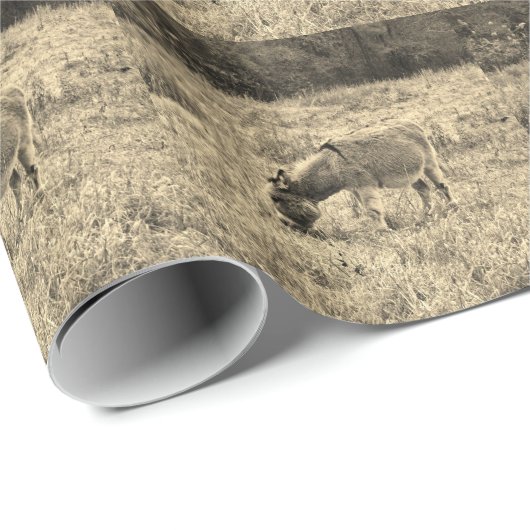 Sepia Tone Donkey in einem Feld. Geschenkpapier (Rolleneckpunkt)