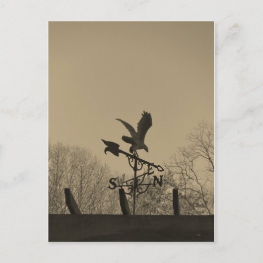 Sepia Tone Eagle Weather vane Postkarte (Vorderseite)