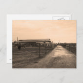 Sepia Tone Fotograf Postkarte (Vorne/Hinten)