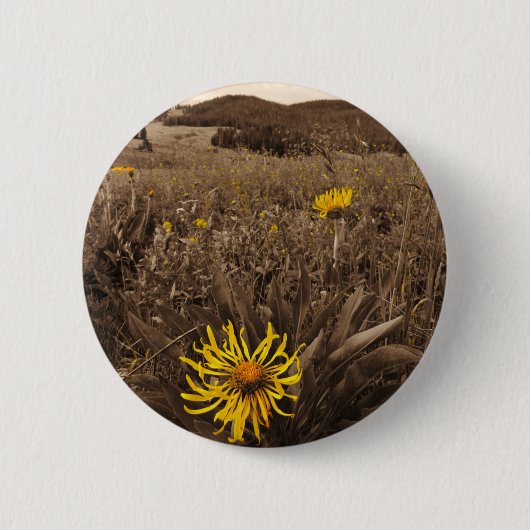 Sepia tone Yellow Wildblumen Button (Vorderseite)