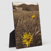 Sepia tone Yellow Wildblumen Fotoplatte (Seite)