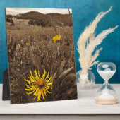 Sepia tone Yellow Wildblumen Fotoplatte (Seite)