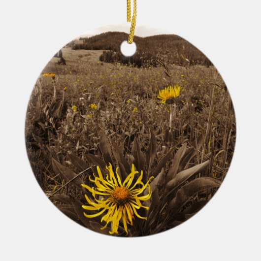 Sepia tone Yellow Wildblumen Keramik Ornament (Vorne)