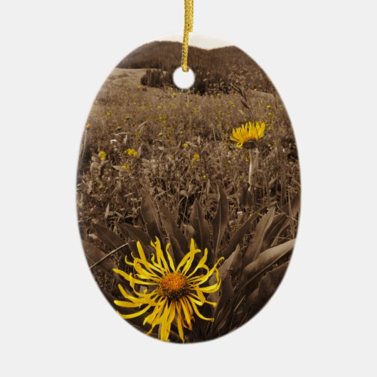 Sepia tone Yellow Wildblumen Keramikornament (Vorne)