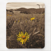 Sepia tone Yellow Wildblumen Mousepad (Vorne)