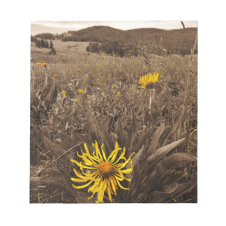 Sepia tone Yellow Wildblumen Notizblock
