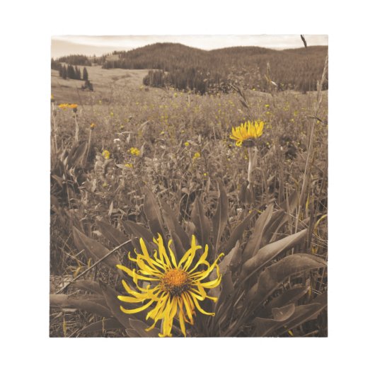 Sepia tone Yellow Wildblumen Notizblock (Vorderseite)