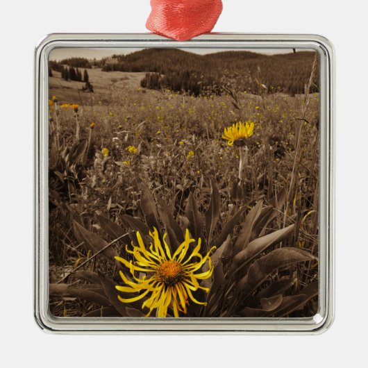 Sepia tone Yellow Wildblumen Ornament Aus Metall (Vorne)