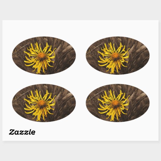 Sepia tone Yellow Wildblumen Ovaler Aufkleber (Blatt)