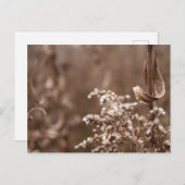 Sepia Tones Postkarte (Vorne/Hinten)