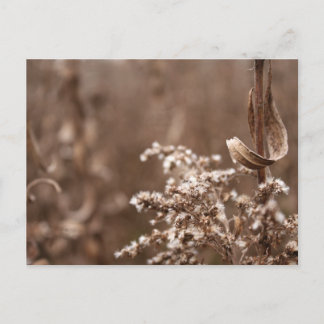 Sepia Tones Postkarte